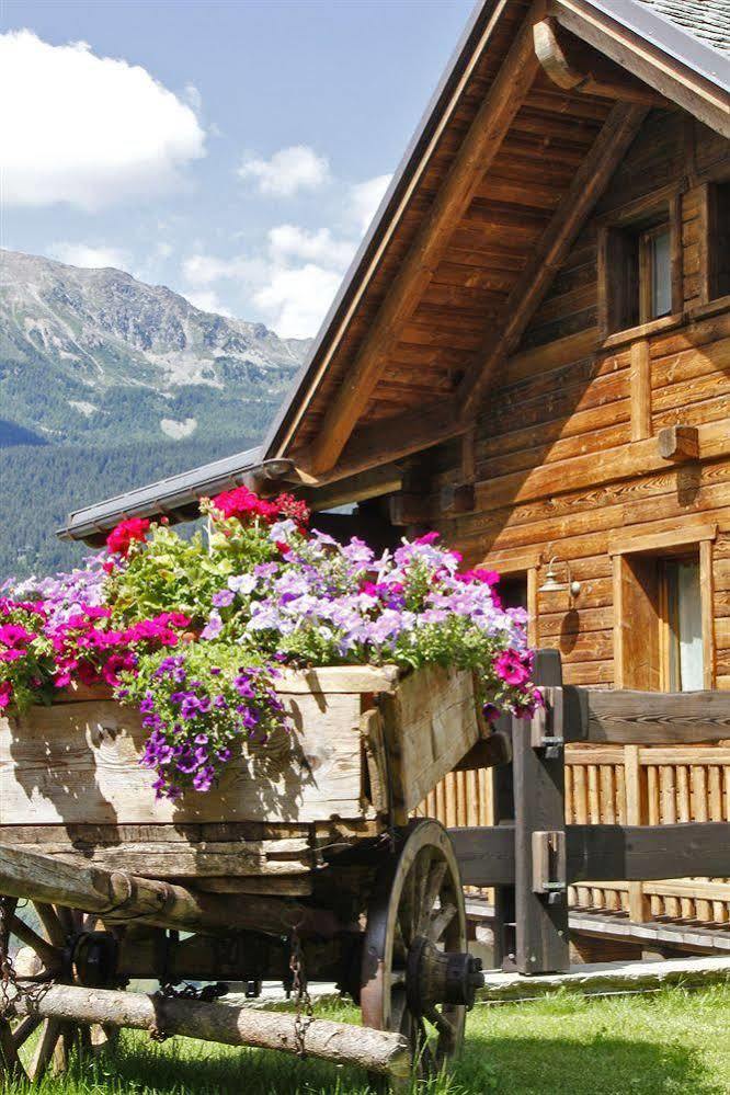 Chalet Teo E Marianna Bormio Ngoại thất bức ảnh